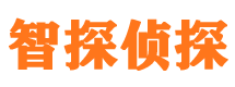 天柱侦探公司